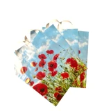 Pungi cu imprimeu maci 40 × 50 cm – mâner cu buclă